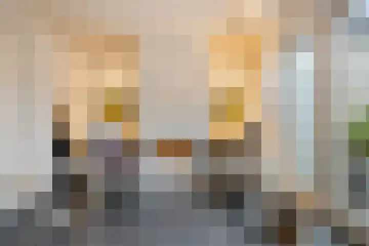 Demer 44 Heusden thumbnail 13