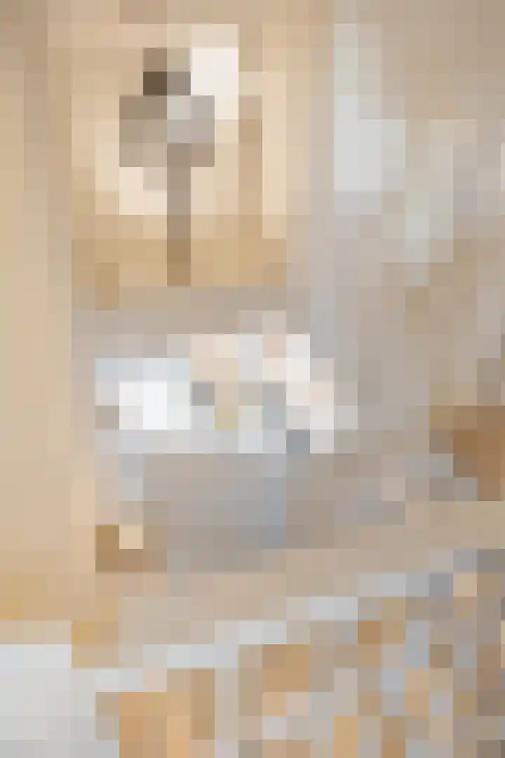 Demer 44 Heusden thumbnail 19