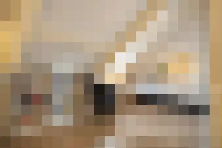 Demer 44 Heusden thumbnail 22