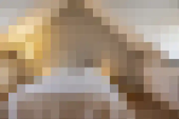 Demer 44 Heusden thumbnail 24
