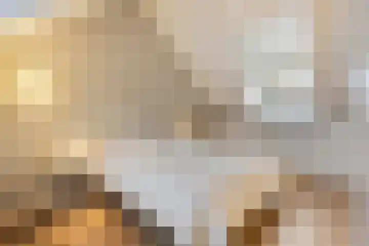 Demer 44 Heusden thumbnail 25