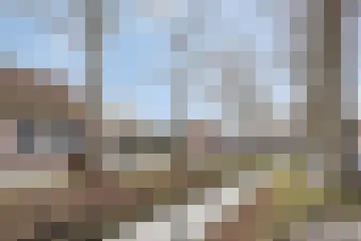 Demer 44 Heusden thumbnail 35