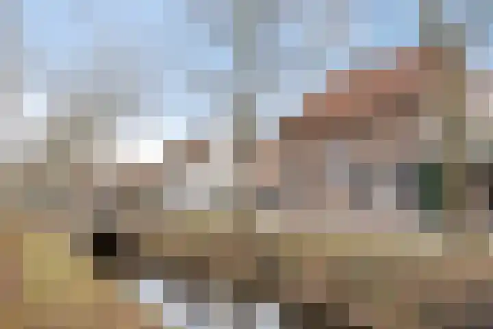 Demer 44 Heusden thumbnail 36