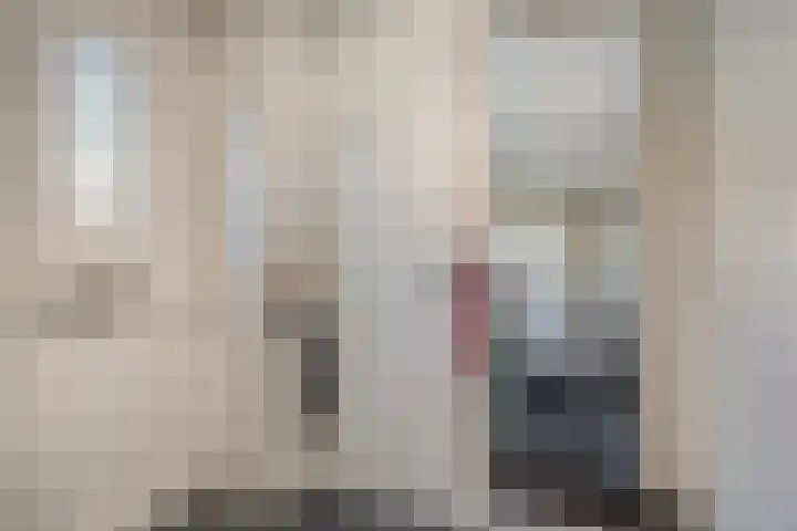 Demer 44 Heusden thumbnail 5