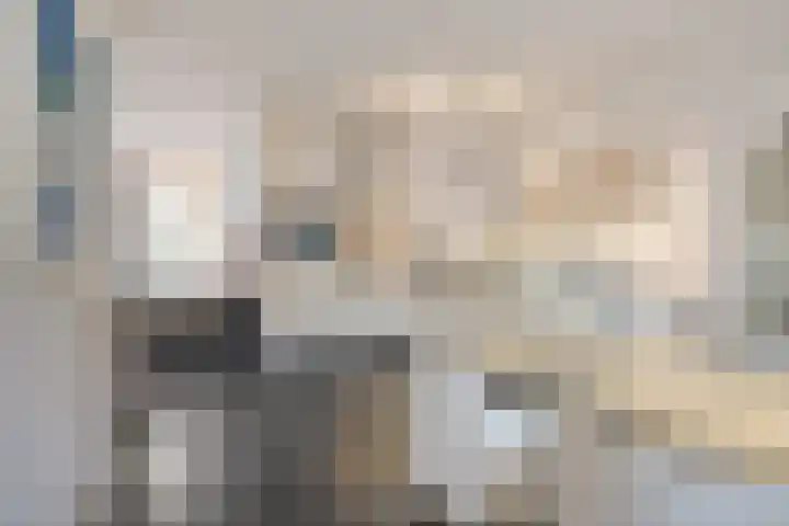 Demer 44 Heusden thumbnail 8