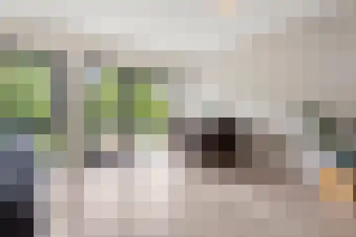 Demerarastraat 9 Amsterdam thumbnail 14