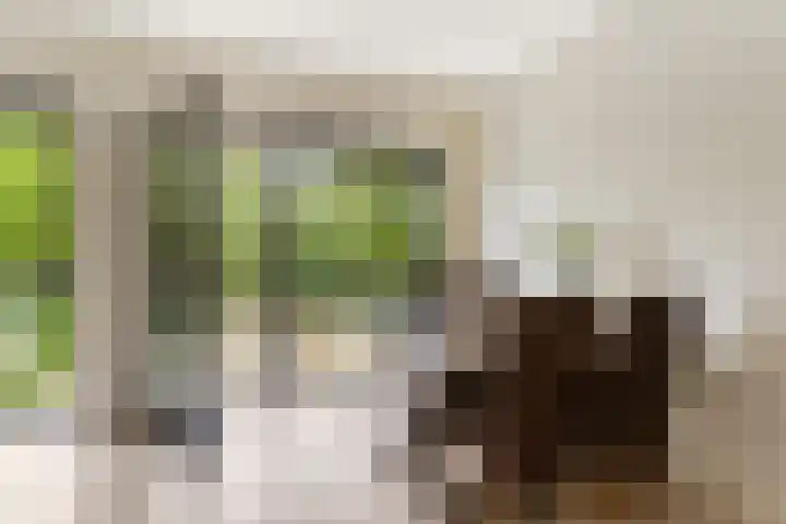 Demerarastraat 9 Amsterdam thumbnail 15