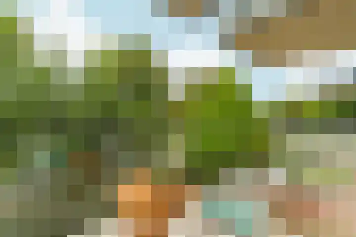Demerarastraat 9 Amsterdam thumbnail 16