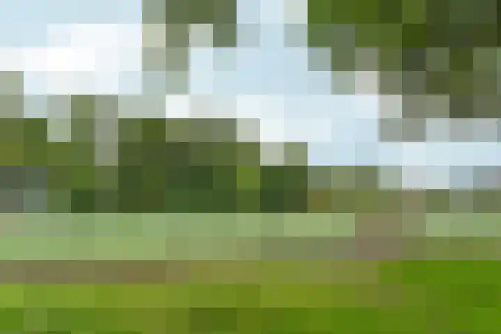 Demerarastraat 9 Amsterdam thumbnail 29