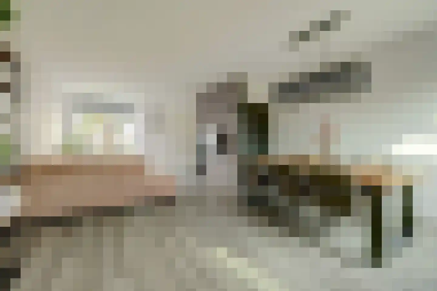 Demerstraat 17 Huijbergen thumbnail 13
