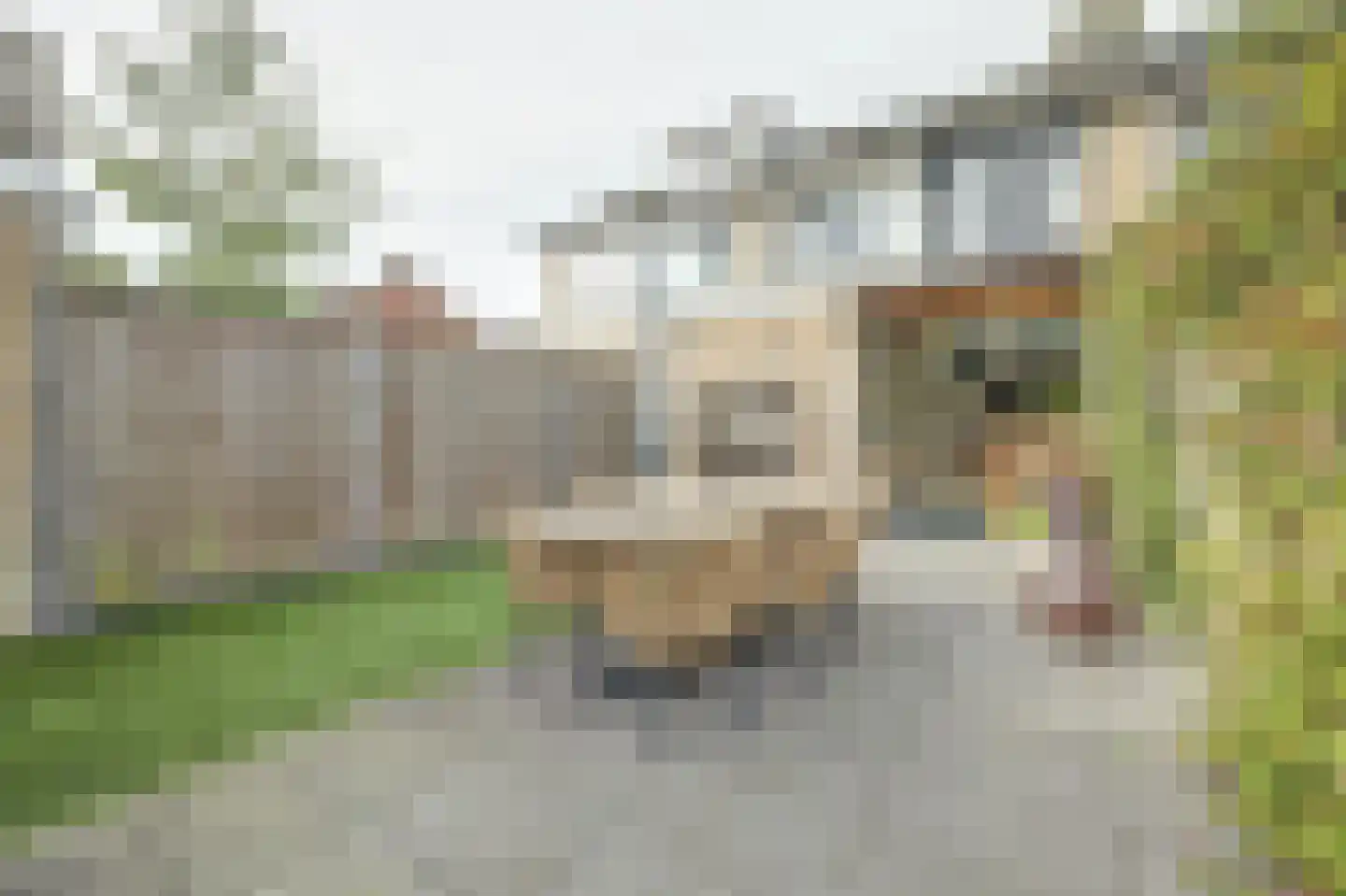 Demerstraat 17 Huijbergen thumbnail 33