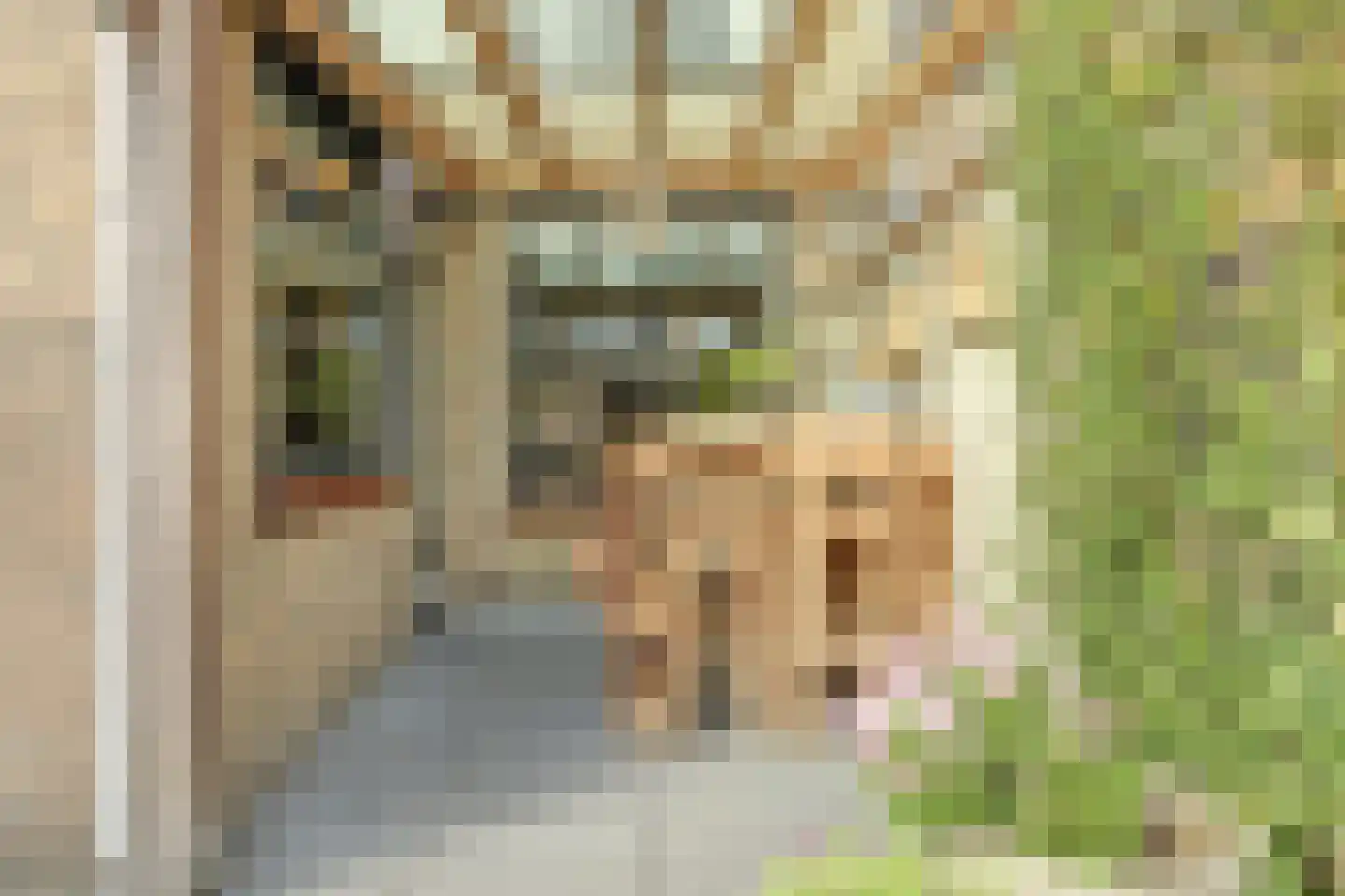 Demerstraat 17 Huijbergen thumbnail 35