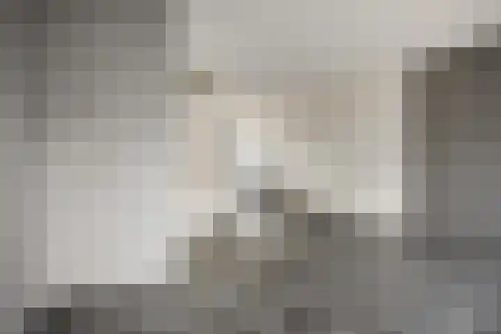 Demerstraat 2 Breda thumbnail 9