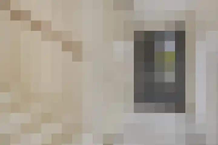 Demerstraat 21 Breda thumbnail 4