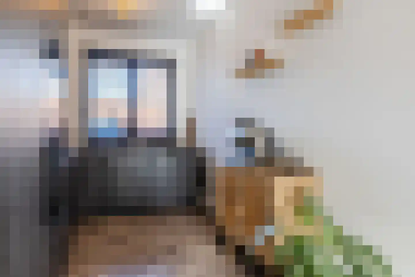 Demerstraat 4 Breda thumbnail 10