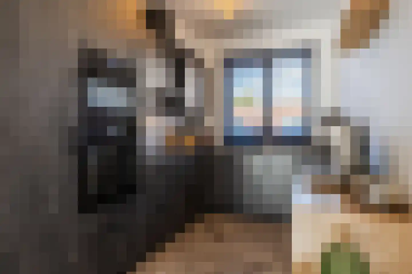 Demerstraat 4 Breda thumbnail 11