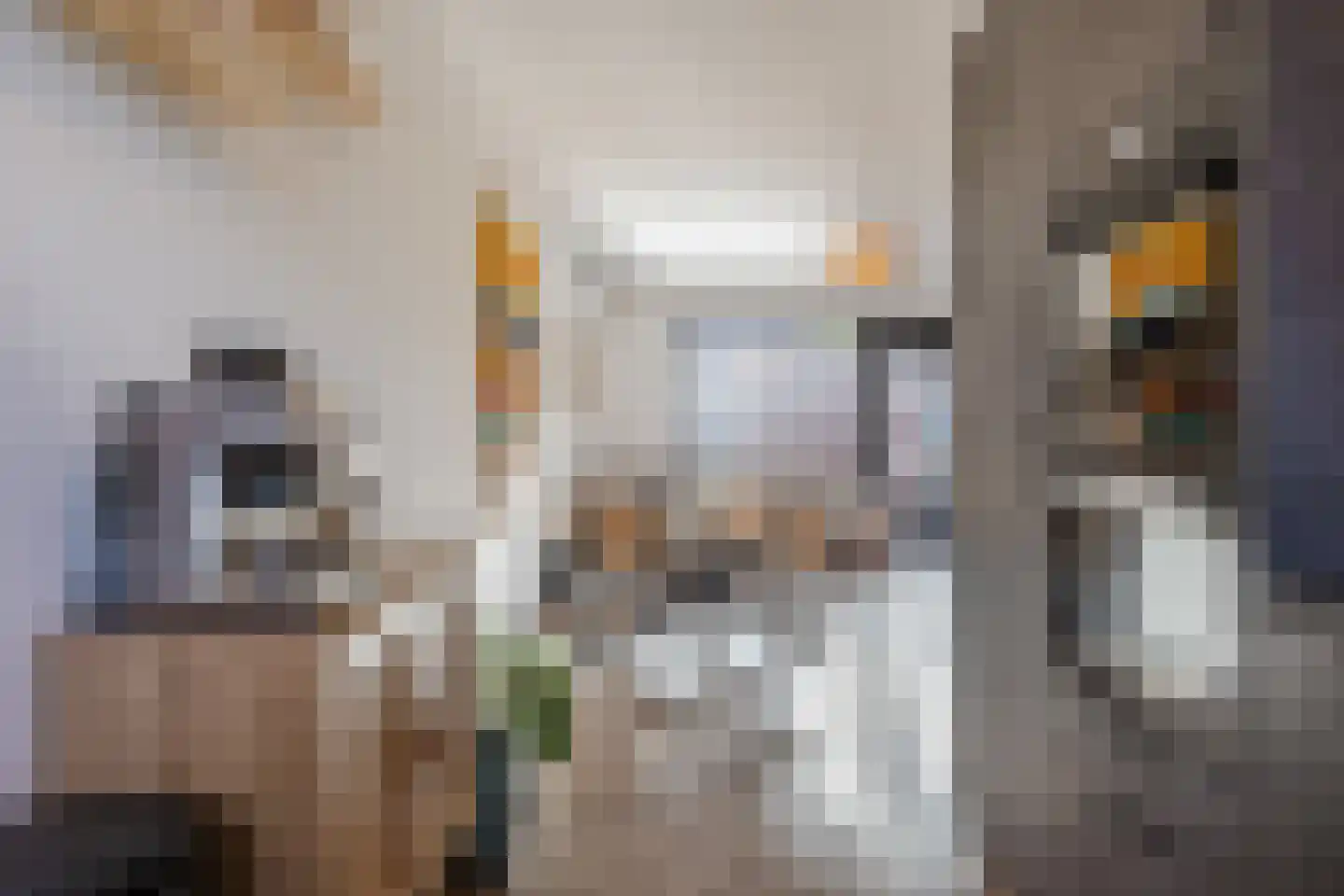 Demerstraat 4 Breda thumbnail 12