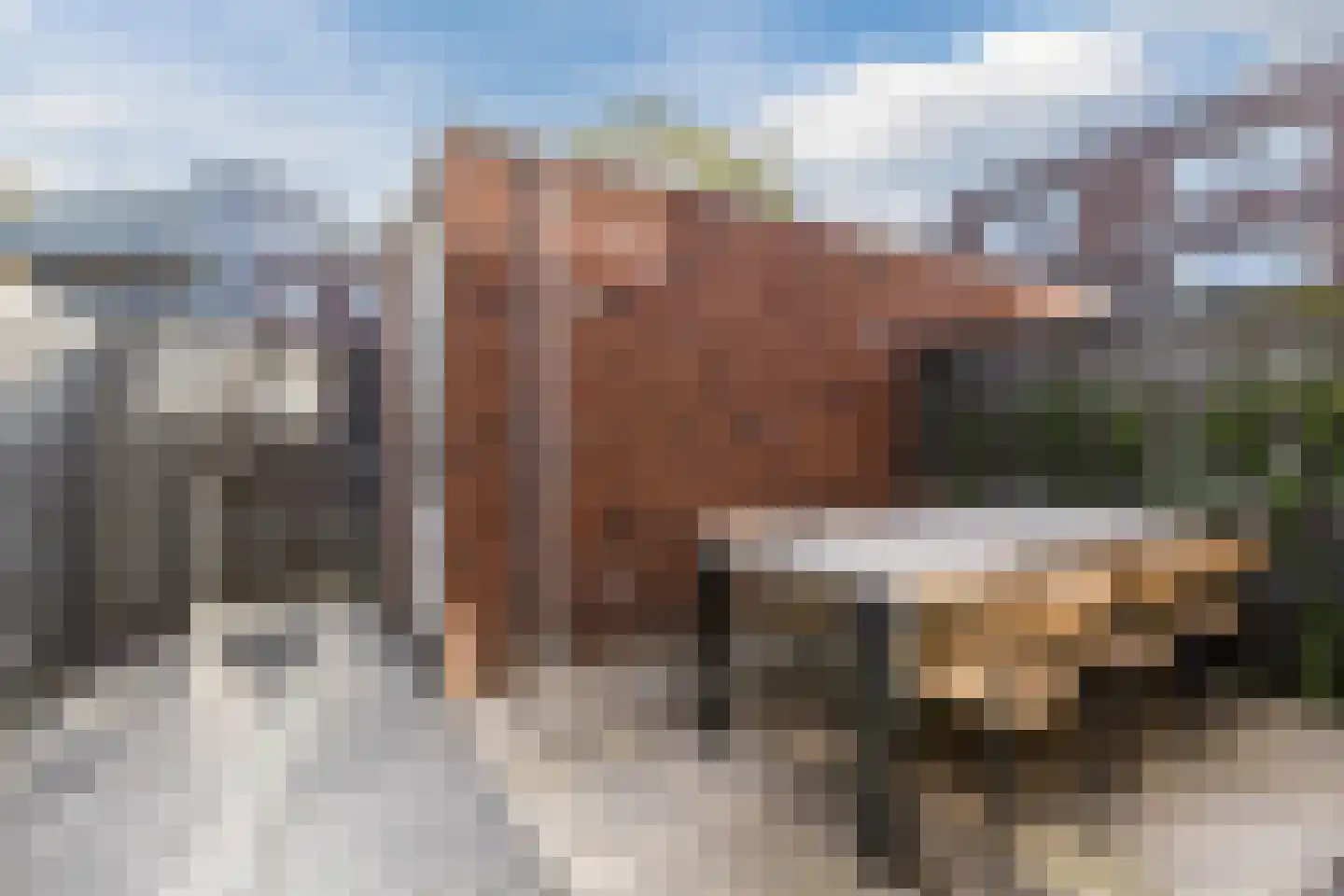 Demerstraat 4 Breda thumbnail 30