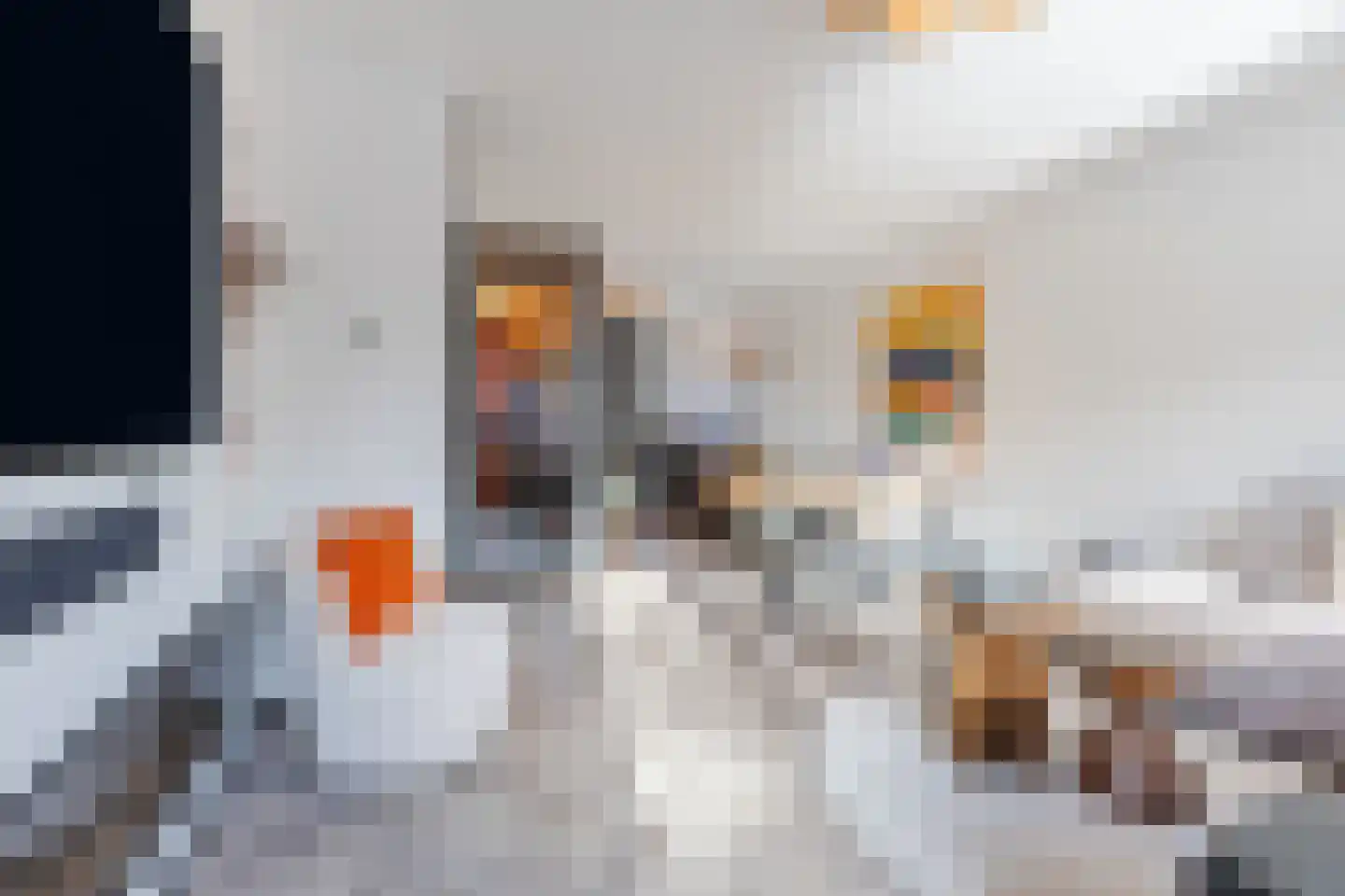 Demerstraat 4 Breda thumbnail 8