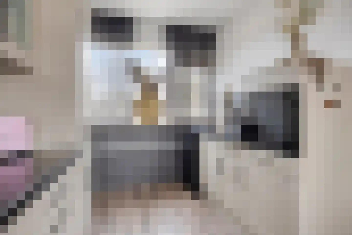 Demerstraat 56 's-Hertogenbosch thumbnail 14