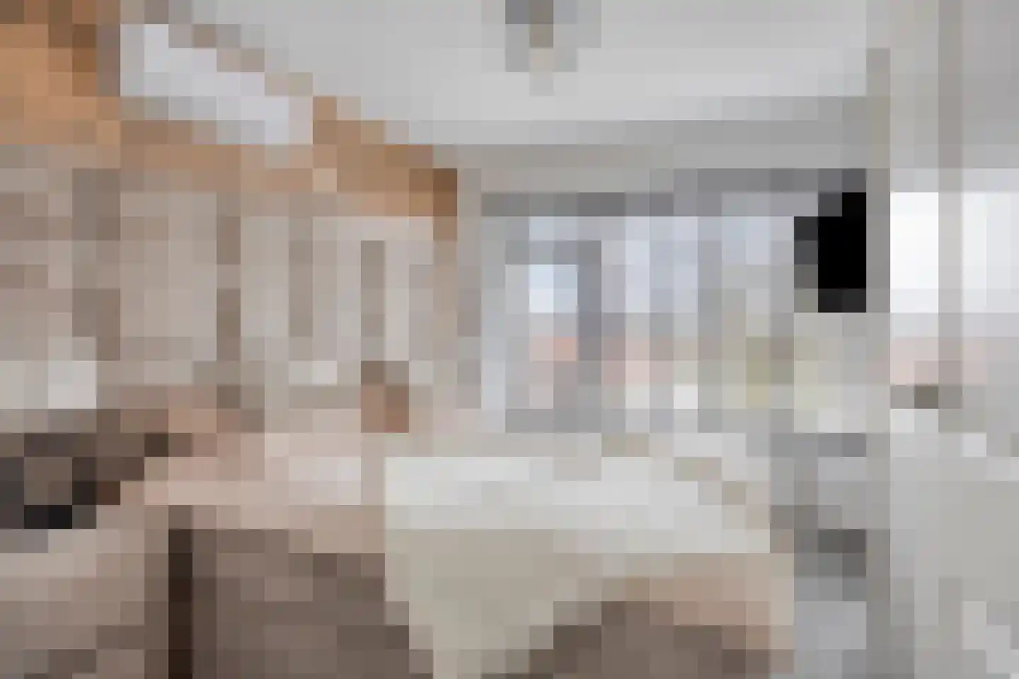 Demerstraat 56 's-Hertogenbosch thumbnail 18