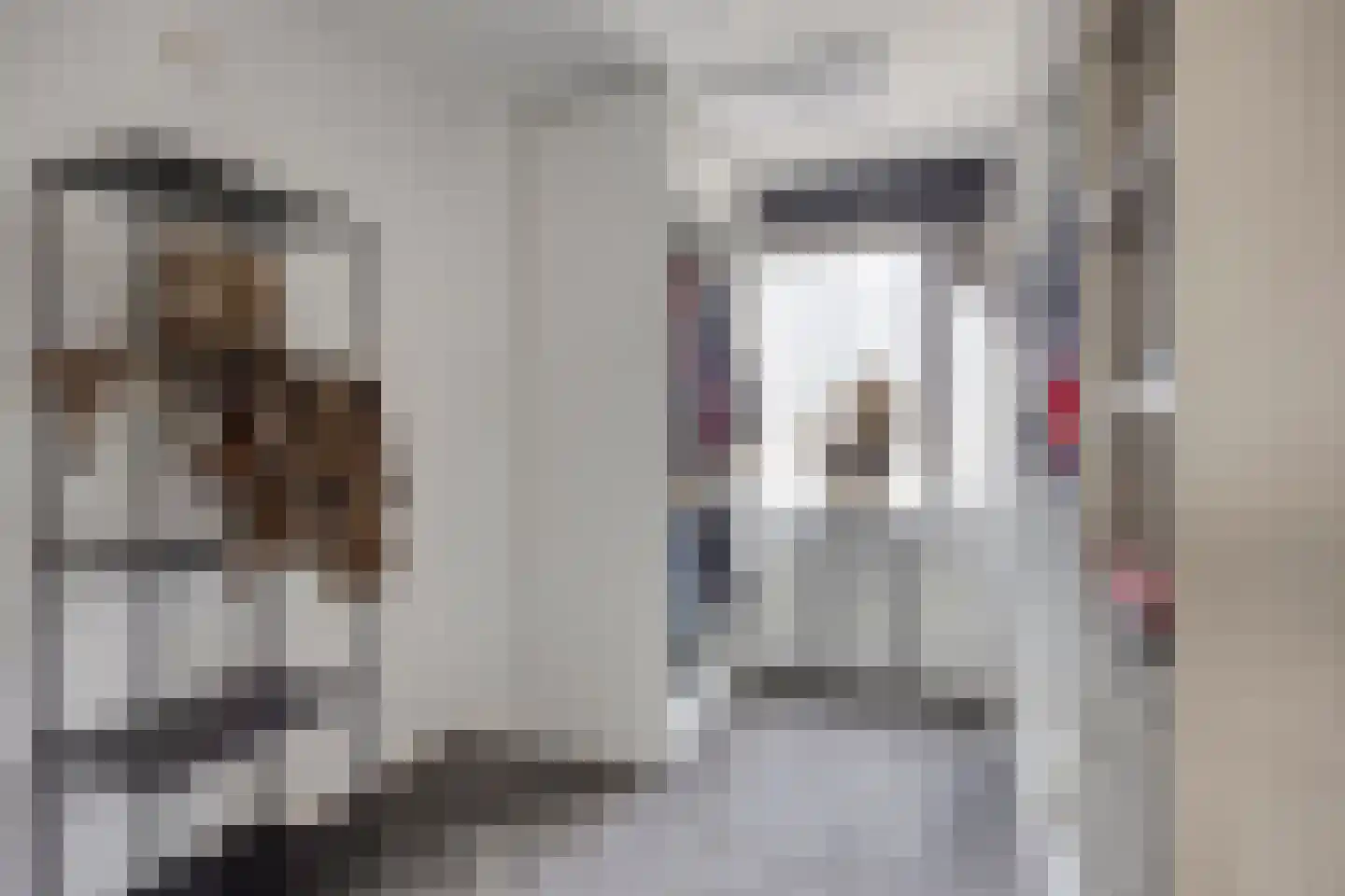 Demerstraat 56 's-Hertogenbosch thumbnail 21