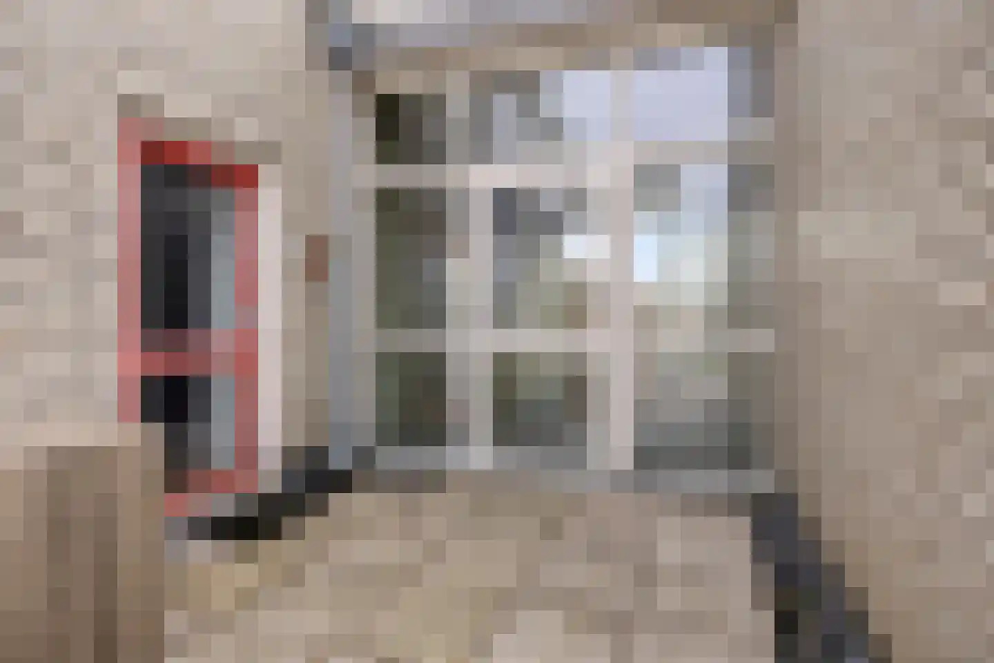 Demerstraat 56 's-Hertogenbosch thumbnail 29