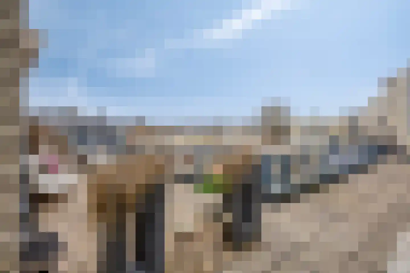 Demerstraat 56 's-Hertogenbosch thumbnail 30