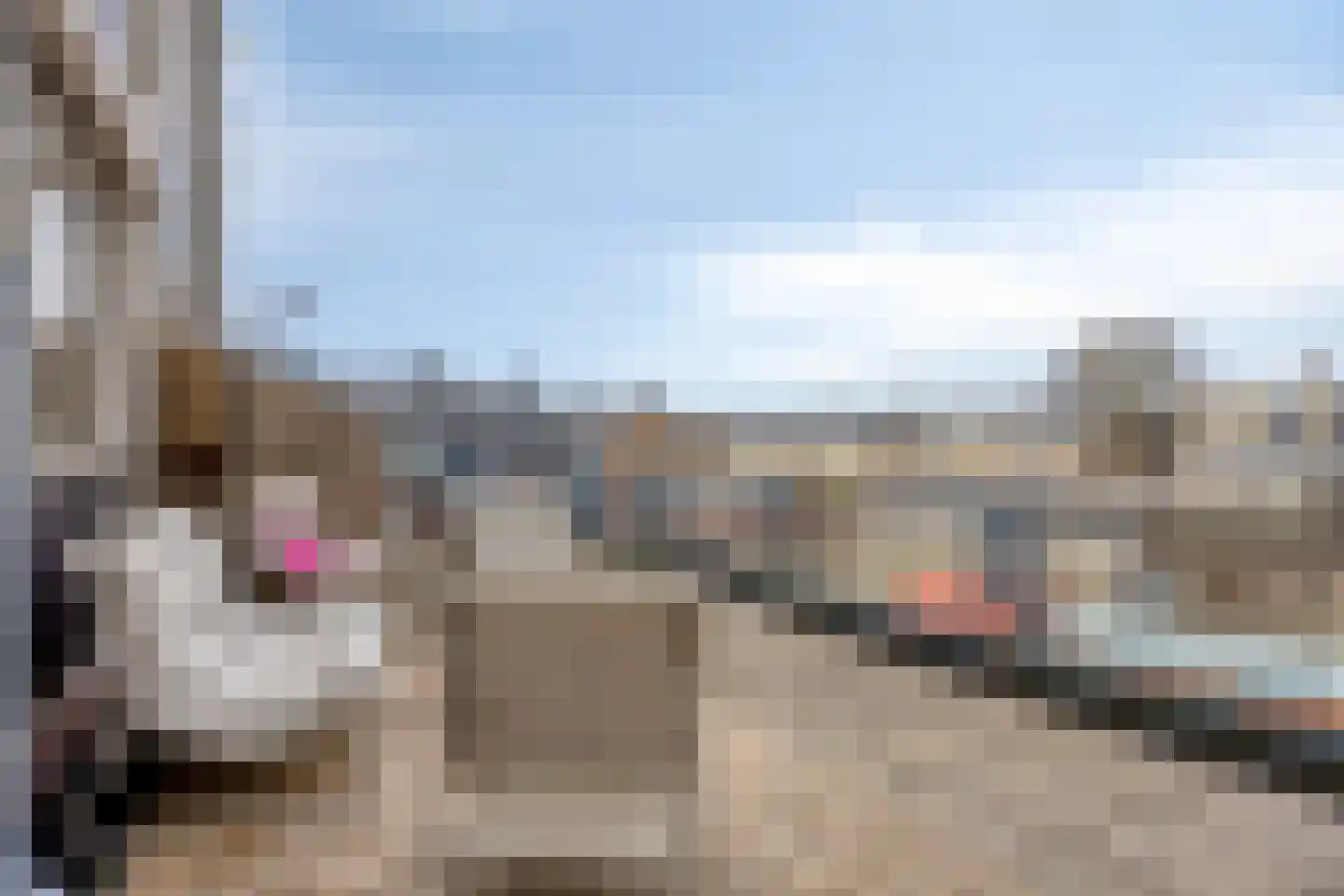 Demerstraat 56 's-Hertogenbosch thumbnail 31