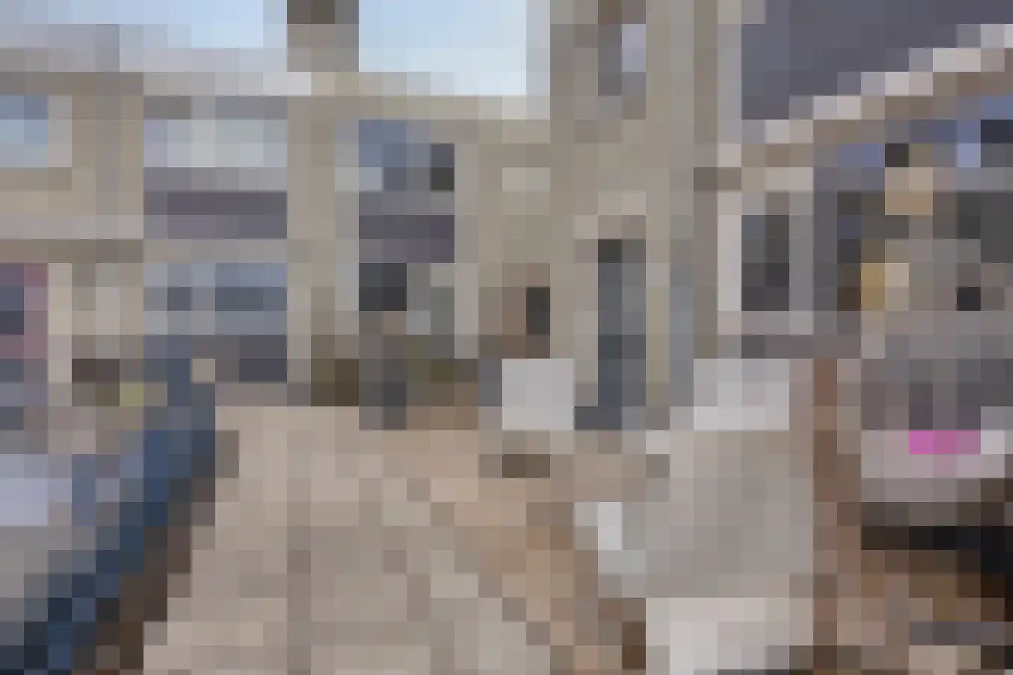 Demerstraat 56 's-Hertogenbosch thumbnail 32