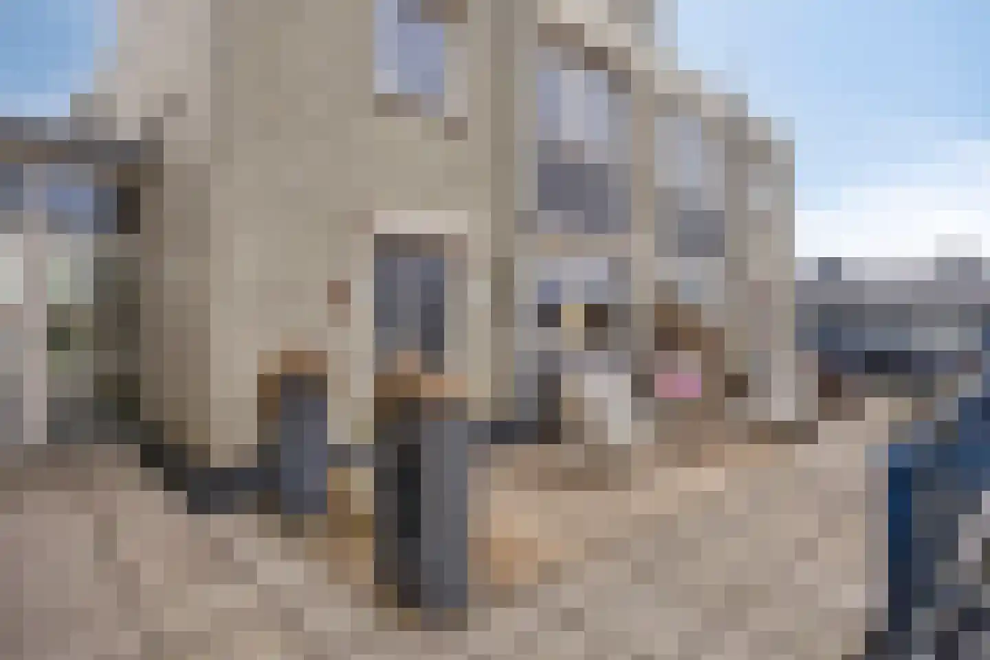 Demerstraat 56 's-Hertogenbosch thumbnail 33