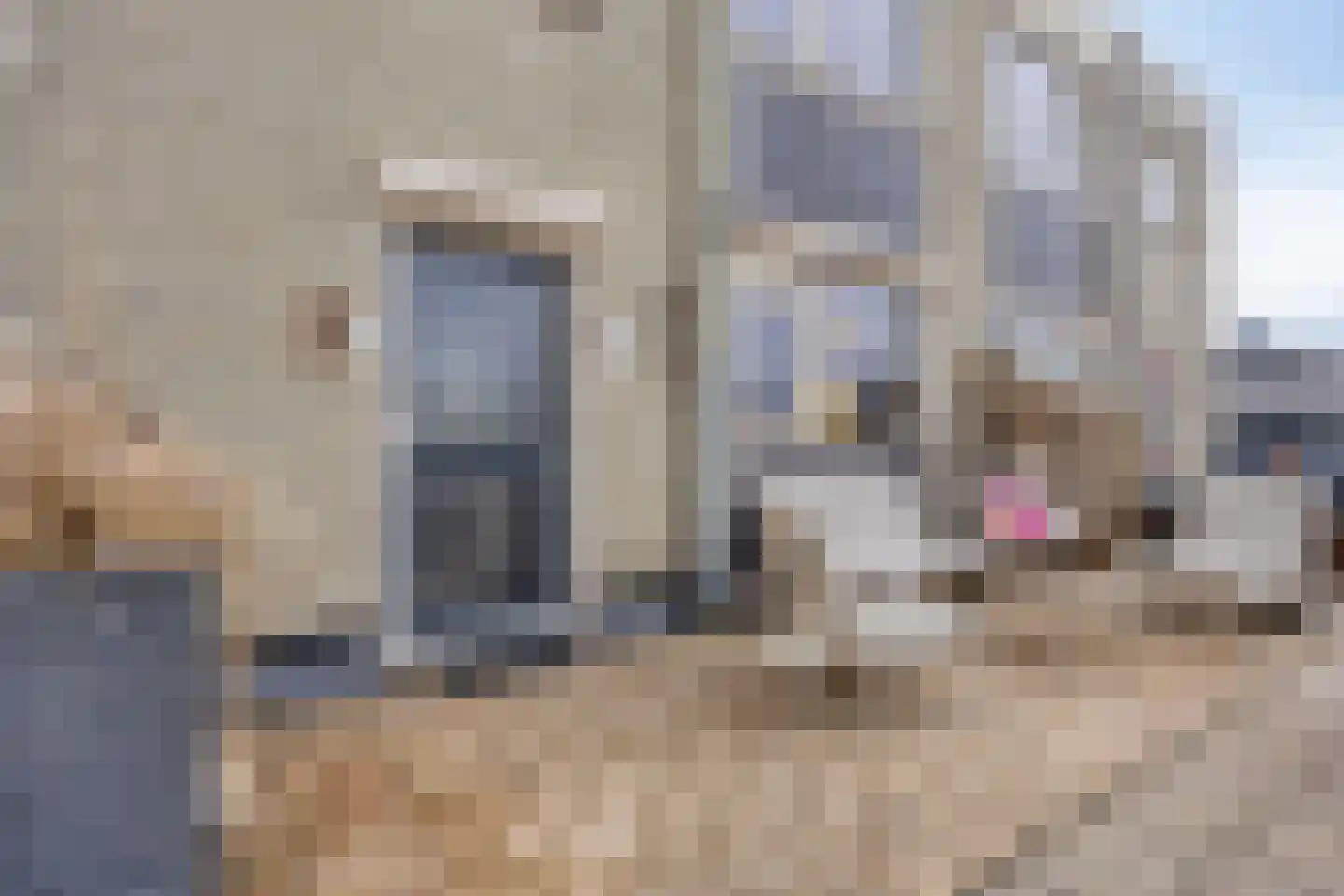 Demerstraat 56 's-Hertogenbosch thumbnail 34