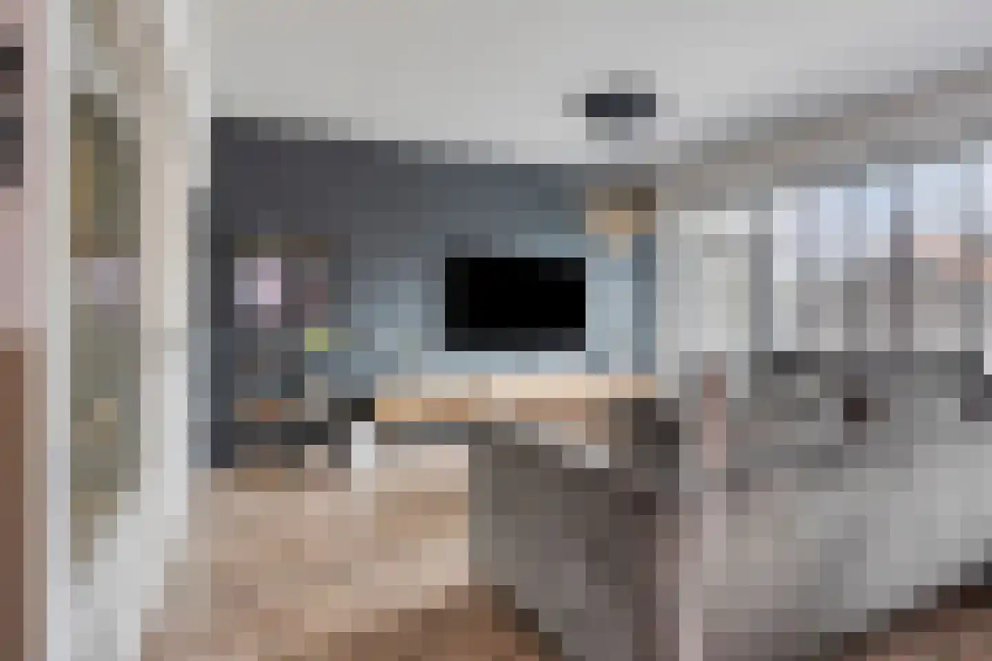 Demerstraat 56 's-Hertogenbosch thumbnail 5