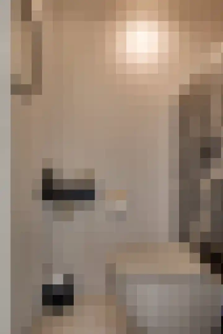 Demerstraat 58 's-Hertogenbosch thumbnail 13
