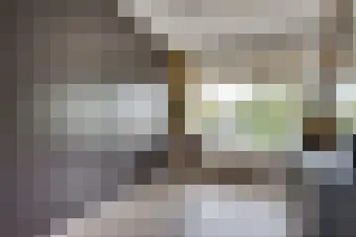 Demerstraat 58 's-Hertogenbosch thumbnail 17