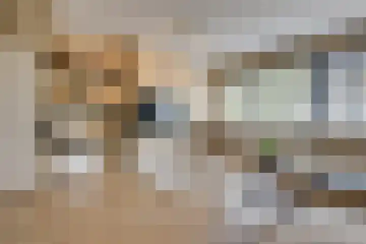 Demerstraat 58 's-Hertogenbosch thumbnail 6