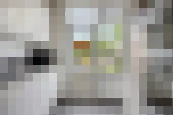 Demerstraat 6 Stramproy thumbnail 12