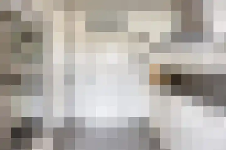 Demerstraat 6 Stramproy thumbnail 13