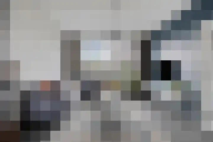 Demerstraat 6 Stramproy thumbnail 16