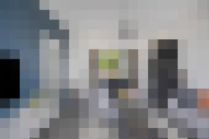 Demerstraat 6 Stramproy thumbnail 17