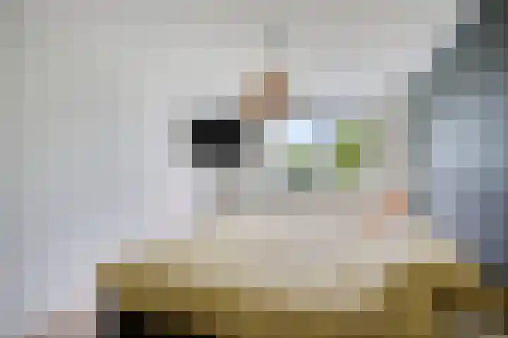 Demerstraat 6 Stramproy thumbnail 19