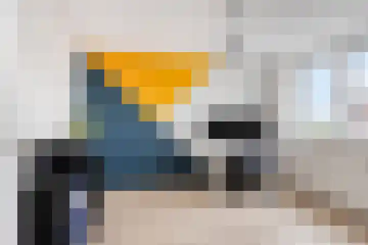 Demerstraat 6 Stramproy thumbnail 20