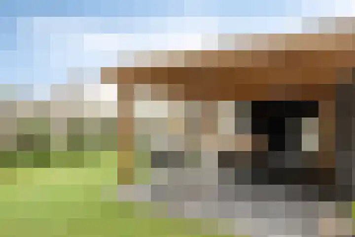 Demerstraat 6 Stramproy thumbnail 26