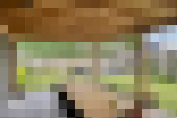 Demerstraat 6 Stramproy thumbnail 27