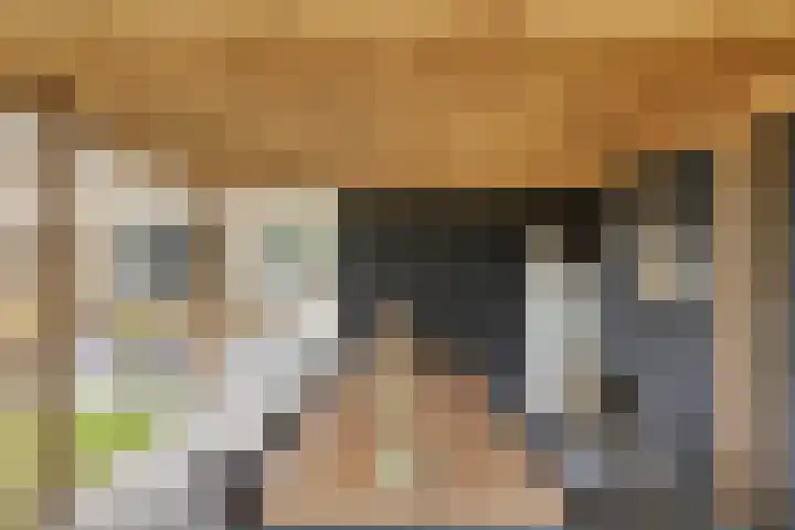 Demerstraat 6 Stramproy thumbnail 28