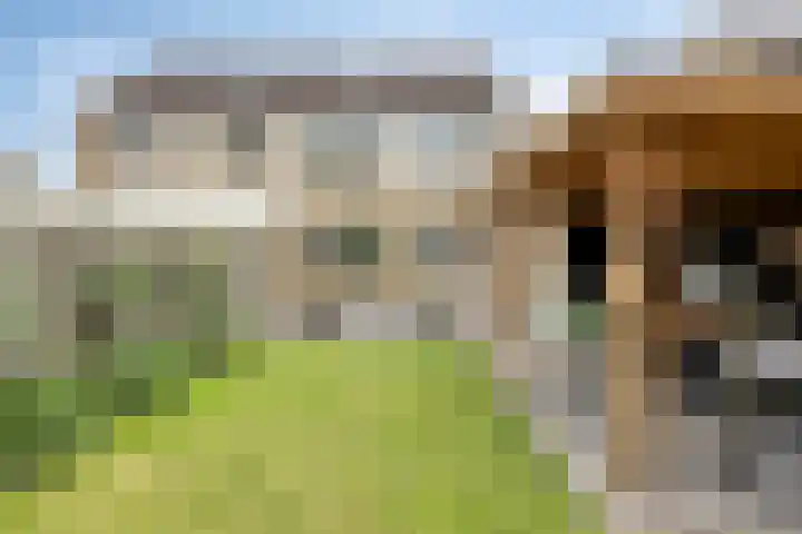 Demerstraat 6 Stramproy thumbnail 30