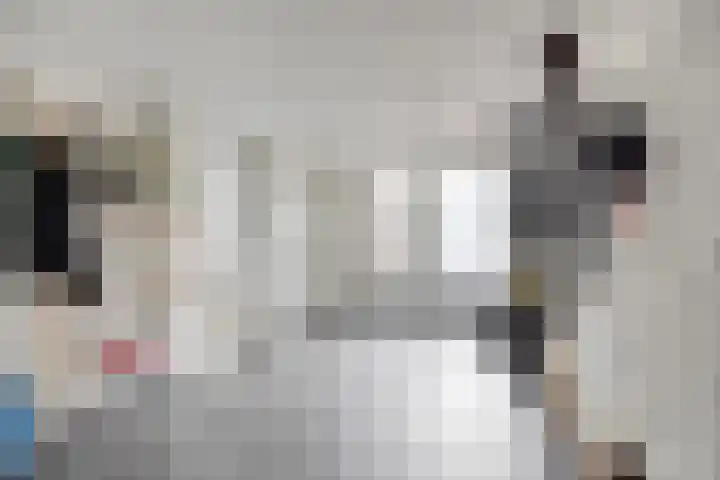 Demerstraat 6 Stramproy thumbnail 32