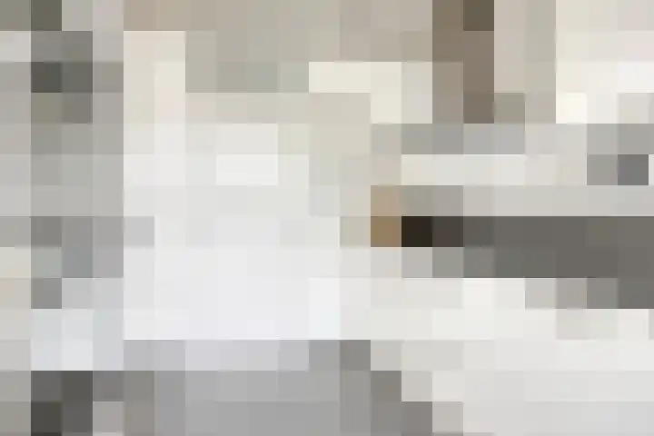 Demerstraat 6 Stramproy thumbnail 4