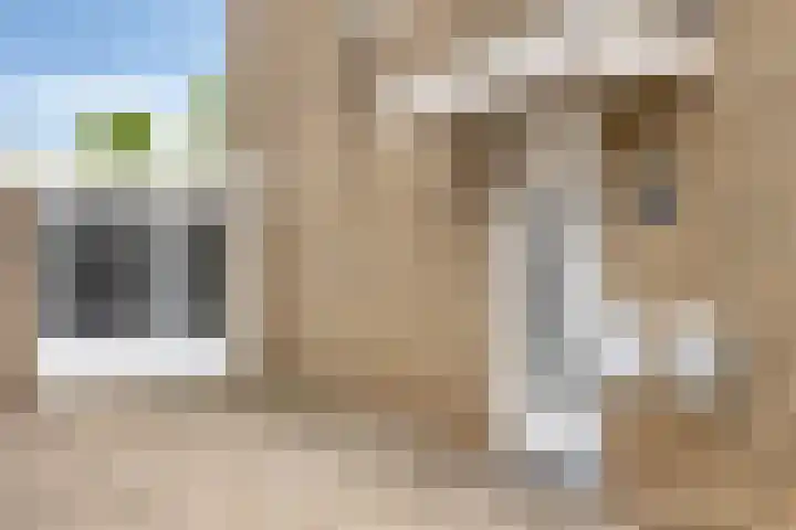 Demerstraat 6 Stramproy thumbnail 7