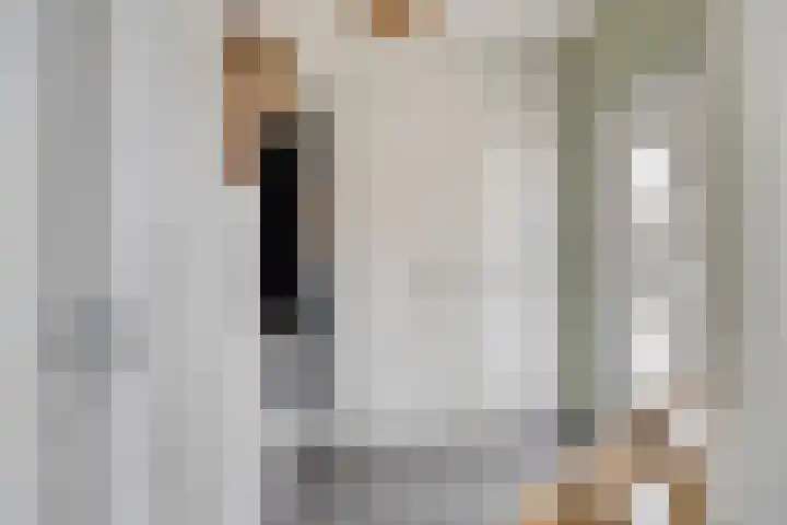 Demerstraat 6 Stramproy thumbnail 8